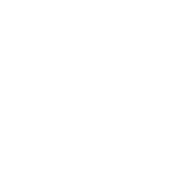 imagen icono de línea de un escudo